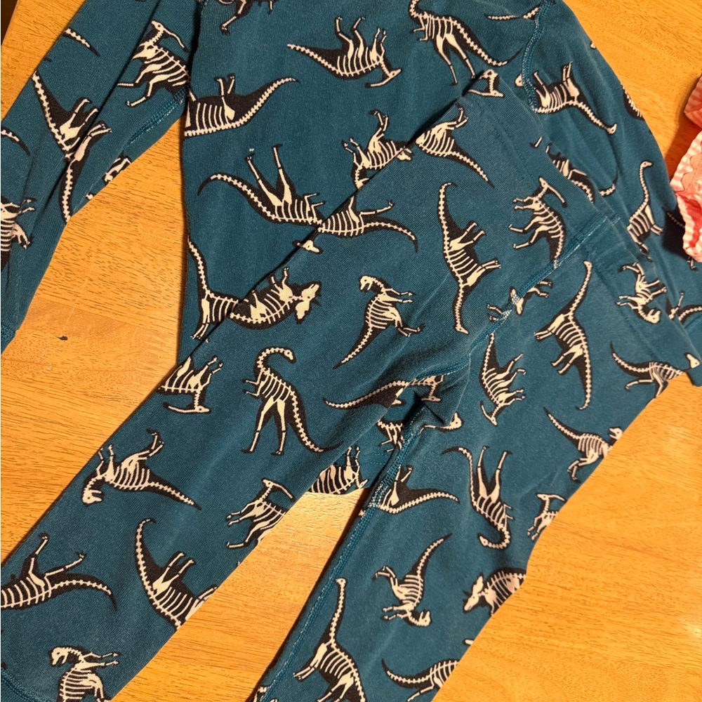 Hanna Andersson Dinosaur Print Pajamas